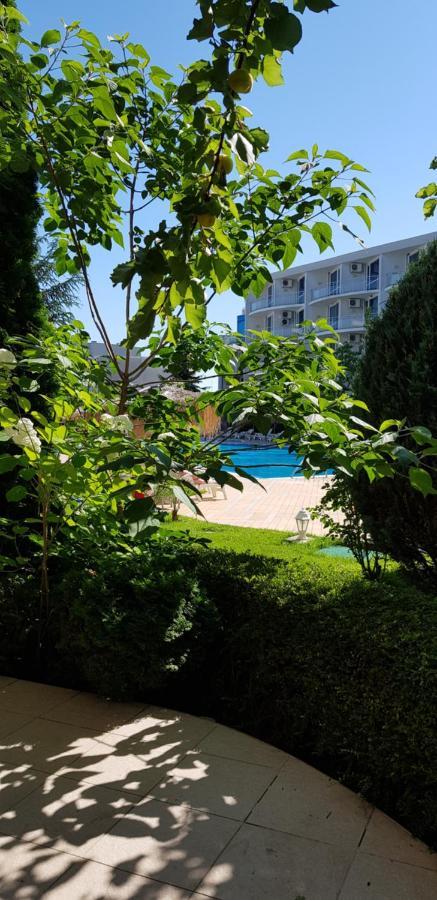 With Terrace Appartamento